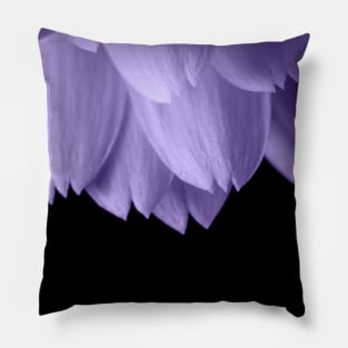 Ultra violet purple flower petals black Pillow