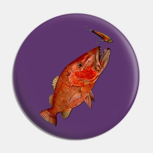 CUBERA SNAPPER Pin