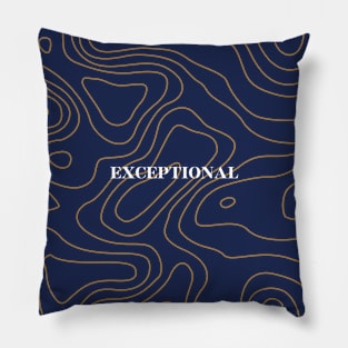 Topography pattern Pillow