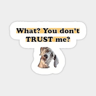 Dog - What? You don't TRUST me? Magnet