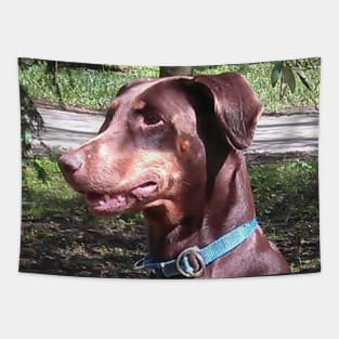 Doberman pinscher red Tapestry