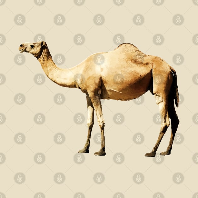 CAMEL by Lamink