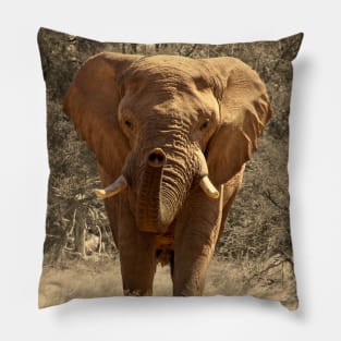 Elephant (Warm) Pillow