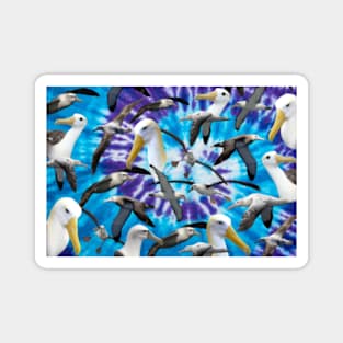 Albatross! Purple/Blue Magnet