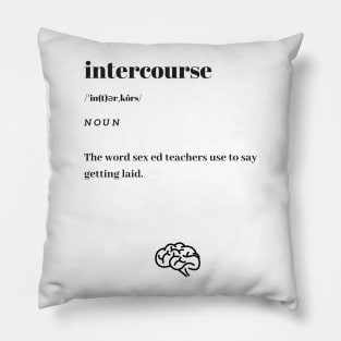 Funny Intercourse Word Definition Dictionary Pillow