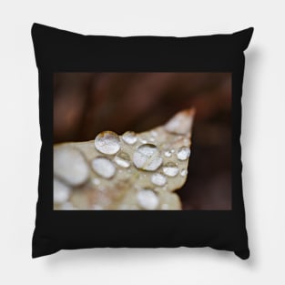 Rain water on leaf Pillow