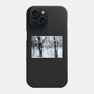 Winter Slush Phone Case