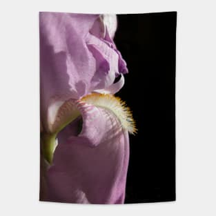 Royal purple iris Tapestry