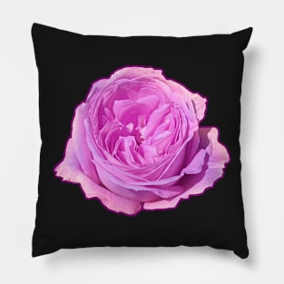 Purple Rose Flower Pillow