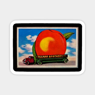 Vintage Allman brother 1972 Magnet