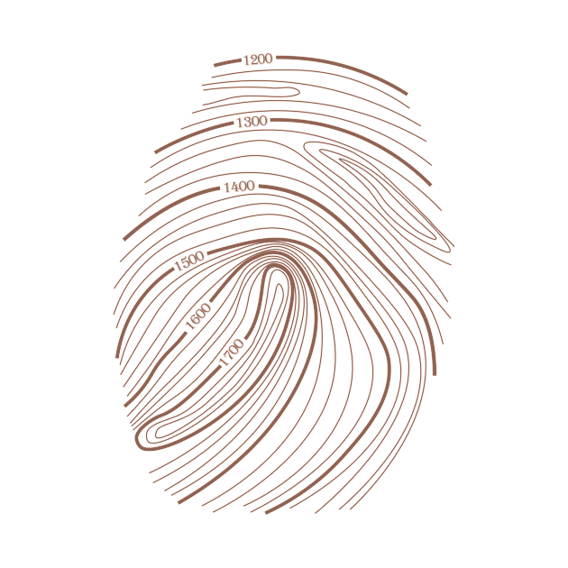 Topographic Fingerprint by Lakes City Design 