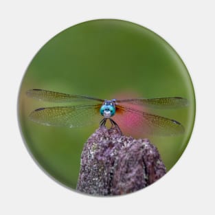 Smiling Dragonfly with Big Blue Eyes and Lacy Wings Pin