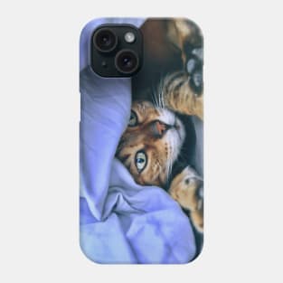 Katze im Nest / Swiss Artwork Photography Phone Case