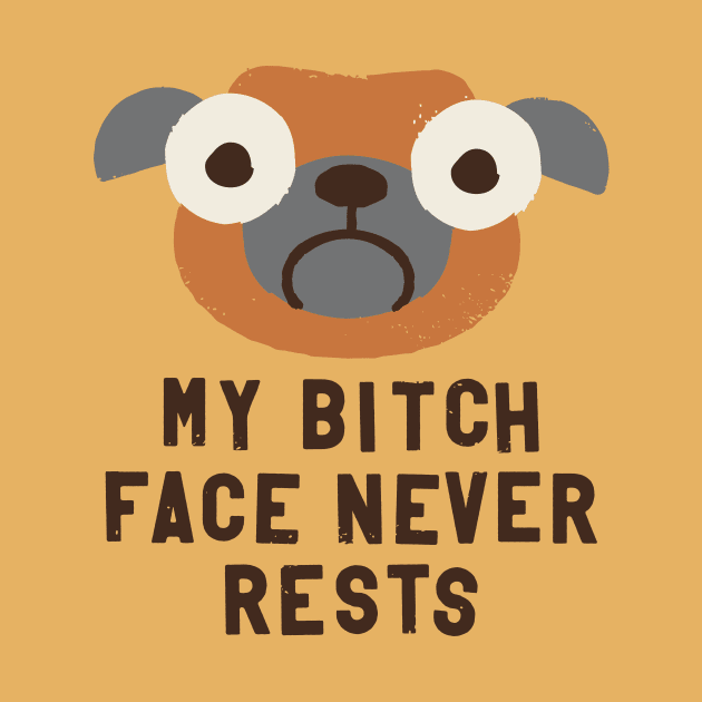 Why the Wrong Face? (dog version) by David Olenick