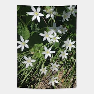 Flower Stars Tapestry