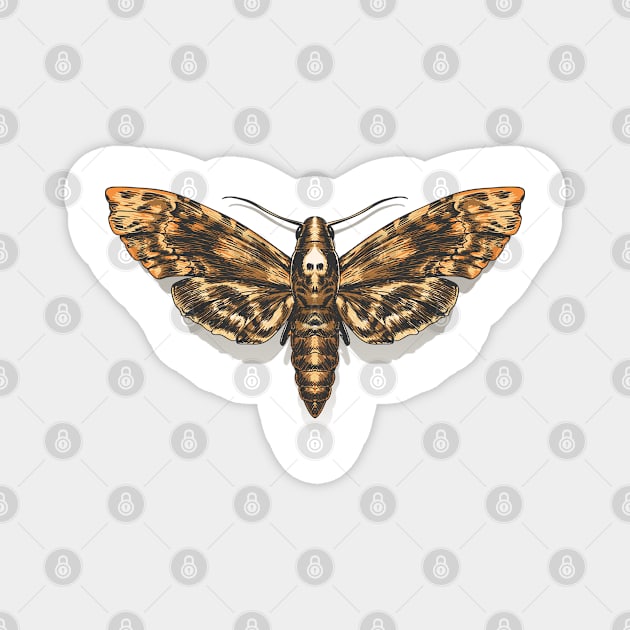 Deaths Head Hawkmoth Magnet by devaleta