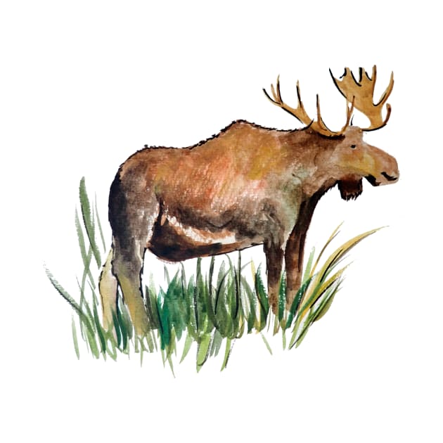 Bull Moose Watercolor Sketch by julyperson