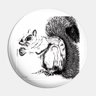 Grey Squirrel Pin