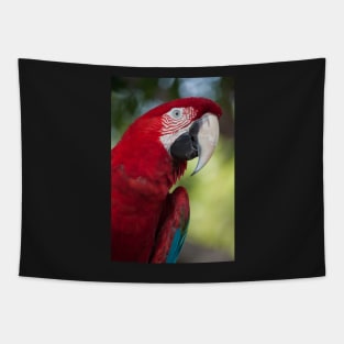 Scarlet Macaw Tapestry