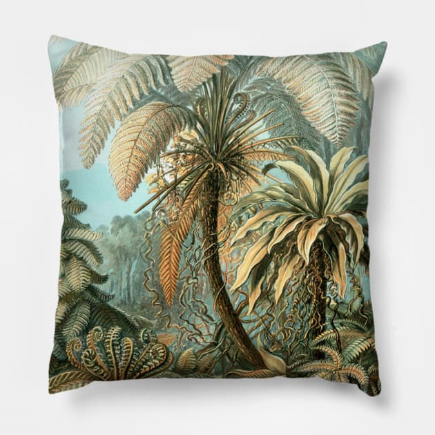 Filicinae by Ernst Haeckel Pillow by MasterpieceCafe