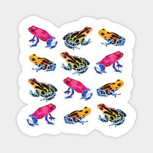 Watercolor Rainbow Poison Dart Frogs - Tropical Magnet