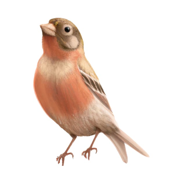 Cute Finch Drawing by Play Zoo