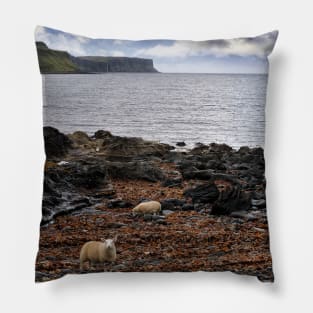 Sheep feeding on seaweed, Skye Pillow