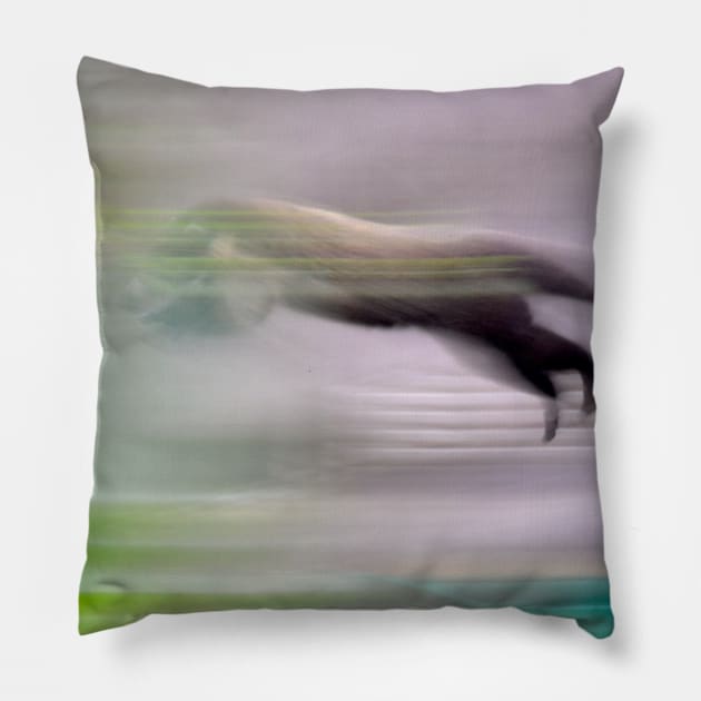 Coati / Swiss Artwork Photography Pillow by RaphaelWolf