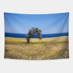 Single Cypriot Tree Tapestry