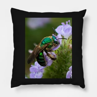 Green bee on flower Pillow