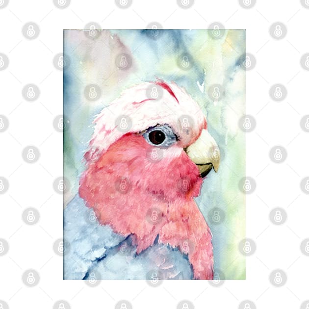 Australian Galah Cockatoo Watercolour Painting by Heatherian