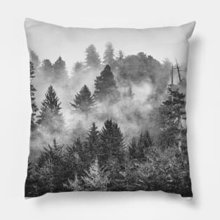 Redwood Forest Black and White Pillow