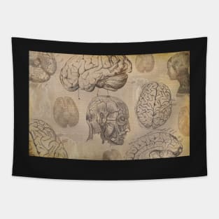 Vintage brain medical anatomy line drawing design. Tapestry