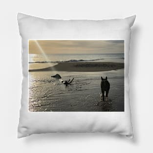 Beach Dog Pillow