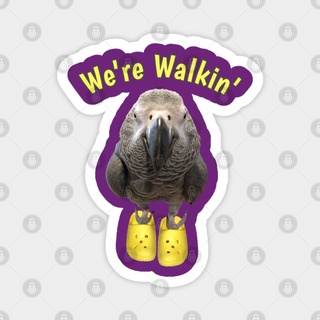 African Grey Parrot Walking Exercise Magnet by Einstein Parrot