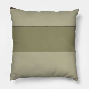 A sensational harmony of Quincy, Pastel Brown, Camouflage Green, Sage and Brown Grey stripes. Pillow