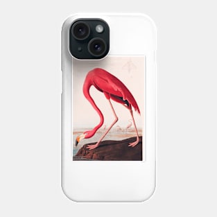 Bird of America  Bird, bird lover, america, beautiful  Public domain painting by John James Audubon Phone Case