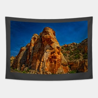 Utah Route State 12 Scenic Drive Tapestry