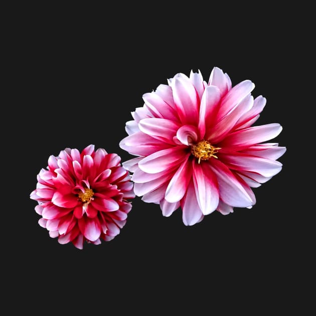 Dahlias Mommy and Child Hand In Hand by SusanSavad