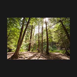 Gorge Trail T-Shirt