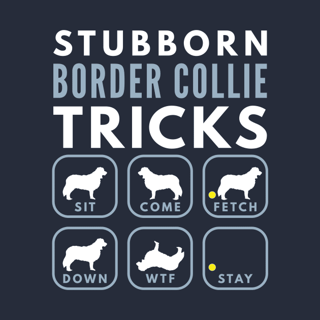 Stubborn Border Collie Tricks - Dog Training by DoggyStyles