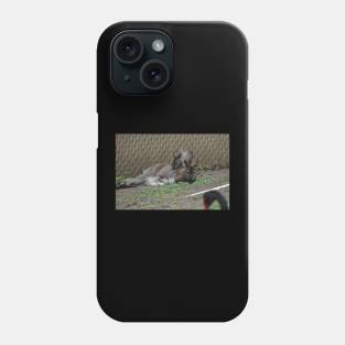 Wallaby and Joey Phone Case