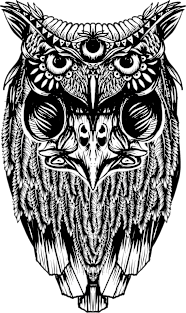 Owl Magnet