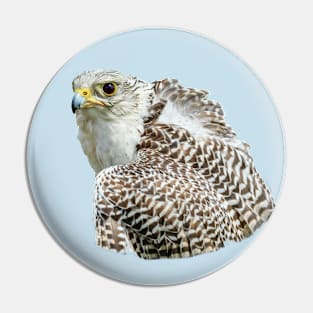 Gyr in the hand Pin