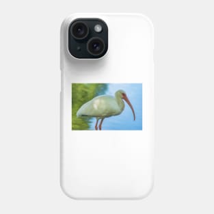 American white ibis of Florida Phone Case