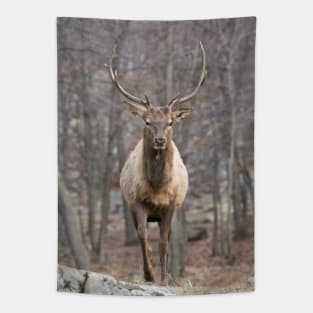 Elk Tapestry