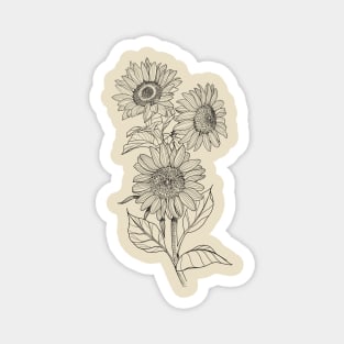 3 sunflowers Magnet