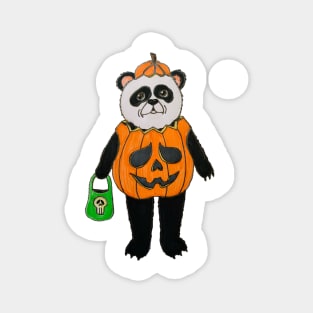 Panda in Jack-O-Lantern Costume Magnet