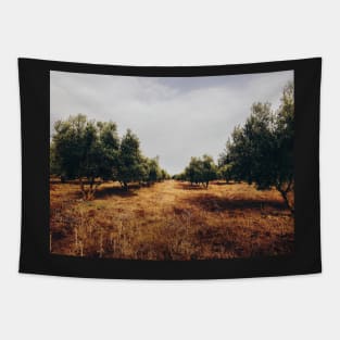 Olive Tree Plantation Tapestry