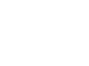 Brazilian Jiu Jitsu (BJJ) Magnet